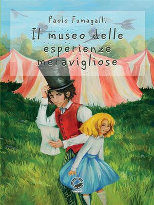 cover image of Il museo delle esperienze meravigliose